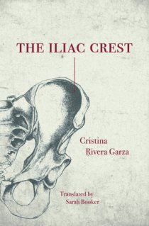 Feminist_CatalogCoverArt_Iliac Crest.jpg